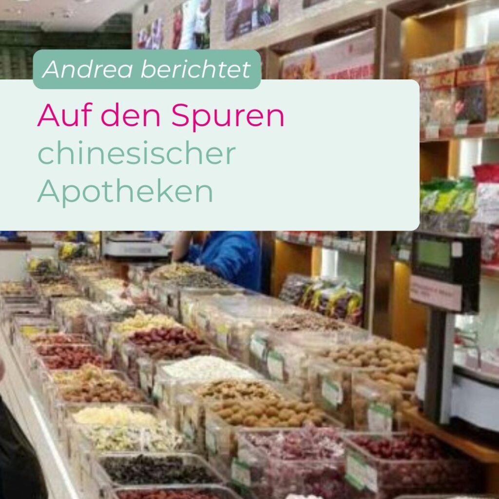 Auf den Spuren chinesischer Apotheken