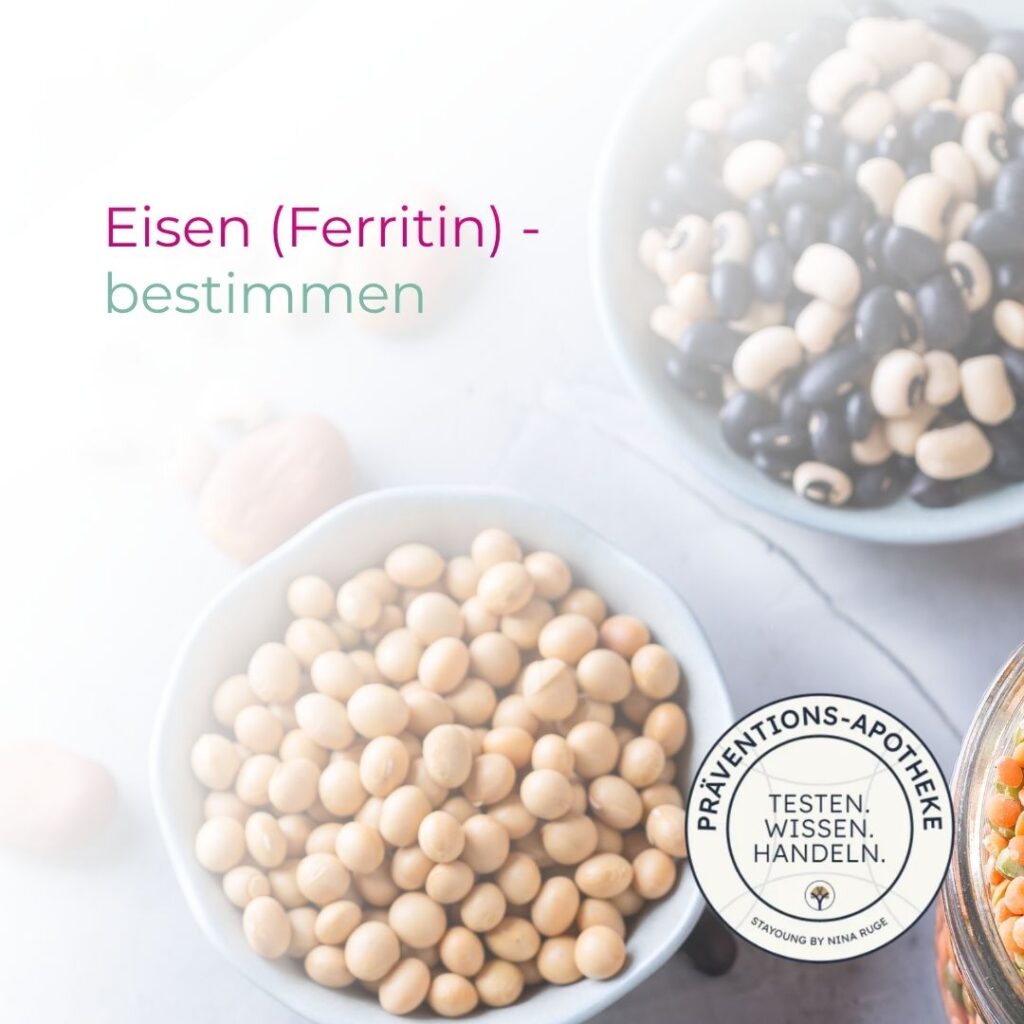 Eisen (Ferritin) - bestimmen Bluttest Köln