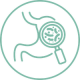 Icon Darmflora